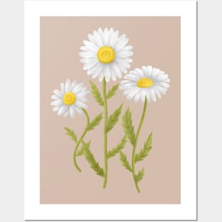 Daisies Posters and Art